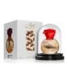 = عطر و ادکلن سانیز بیوتی,فروشگاه لوازم آرایشی,فروشگاه عطر و ادکلن